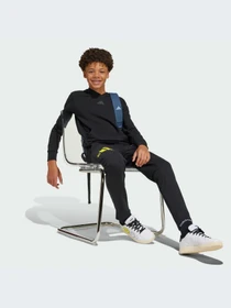 Брюки Adidas модель JJ3073-KZ Фото
