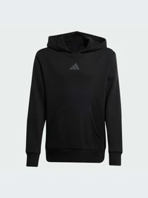 Худи и свитшоты Adidas модель JJ3072-KZ Фото