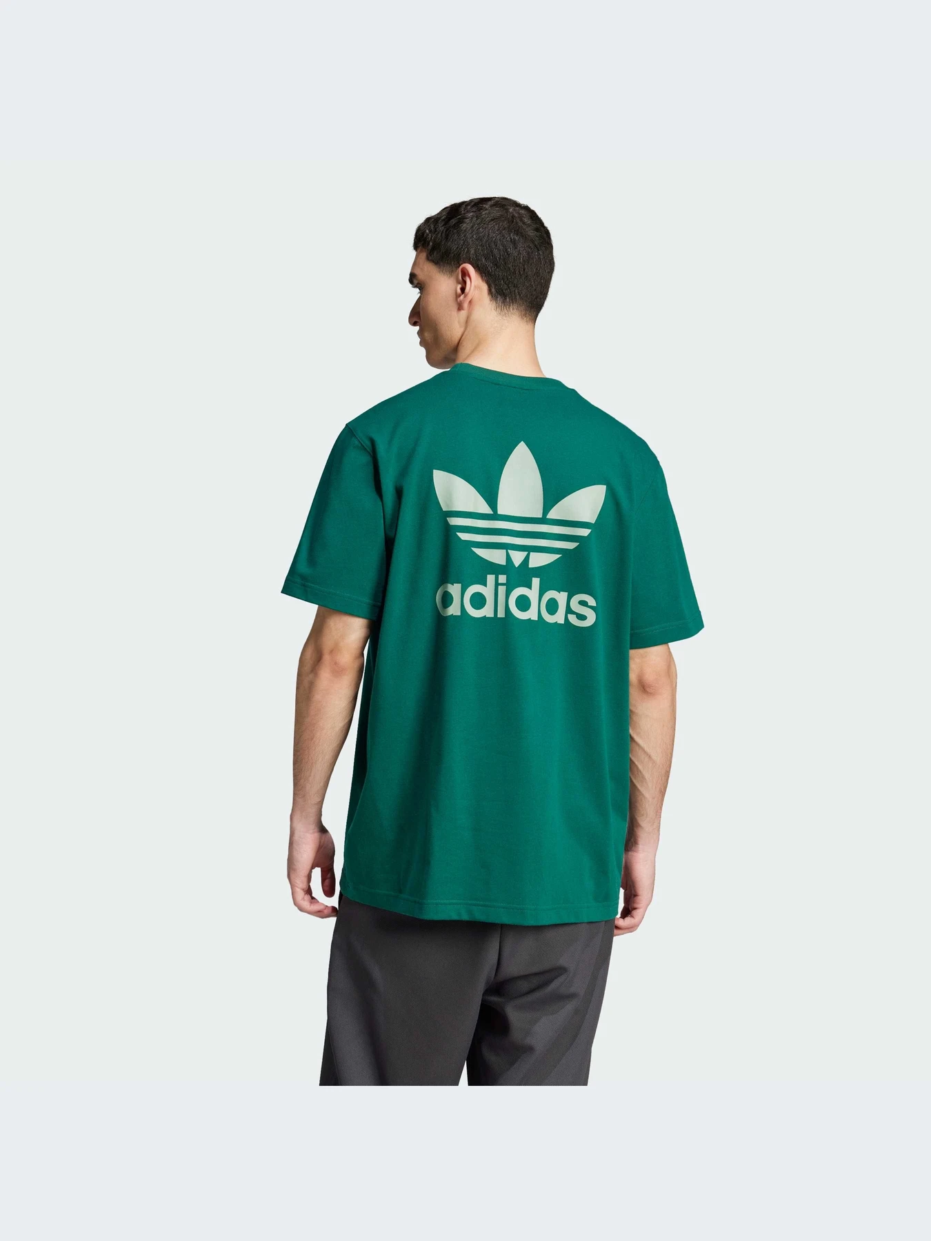 Футболки и поло Adidas Adicolor модель JN7013-KZ Футболки и поло Adidas Adicolor модель JN7013-KZ Фото