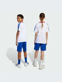Шорты Adidas Tiro модель JW5095-KZ Фото