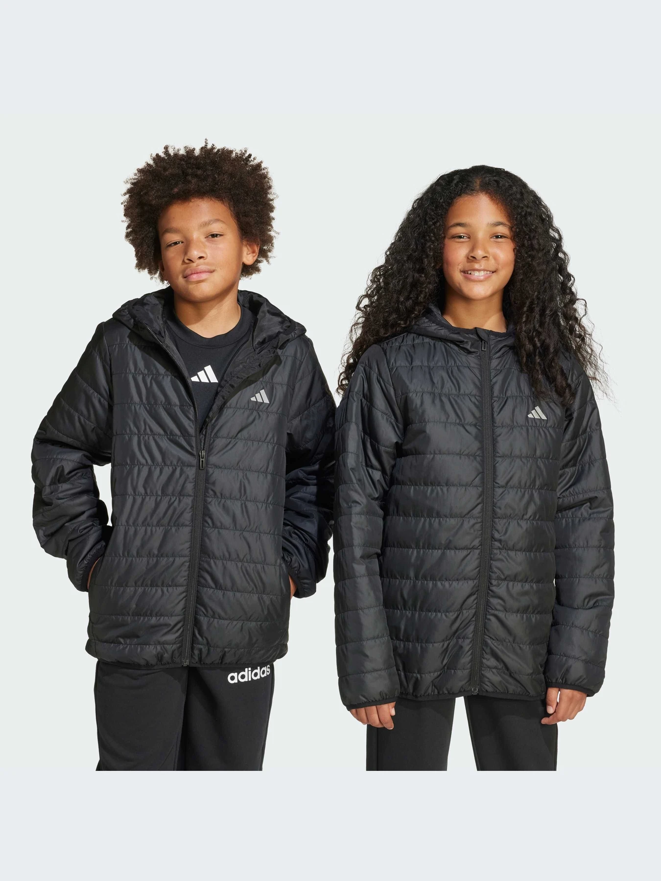 Куртки и дубленки Adidas модель JL7444-KZ Куртки и дубленки Adidas модель JL7444-KZ Фото