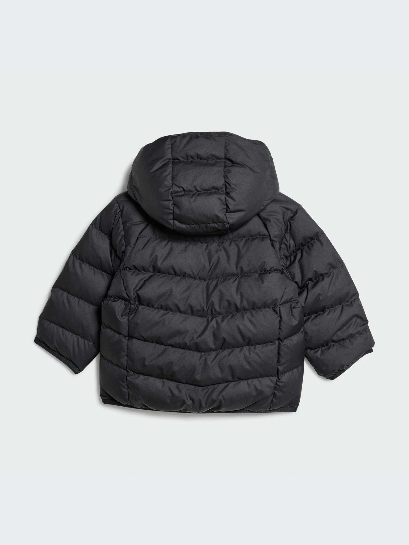 Куртки и дубленки Adidas Adicolor модель IX7493-KZ Куртки и дубленки Adidas Adicolor модель IX7493-KZ Фото