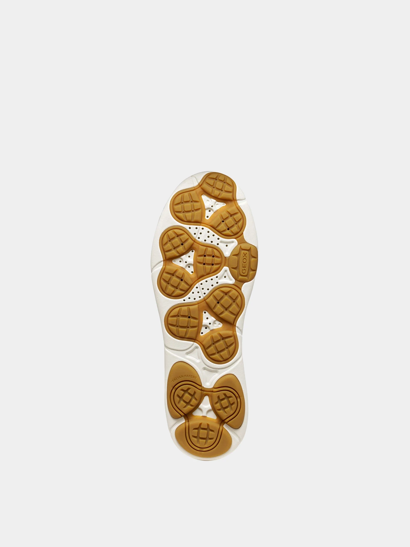 Кеды Geox модель D563TD-00085-C1122 Кеды Geox модель D563TD-00085-C1122 Фото