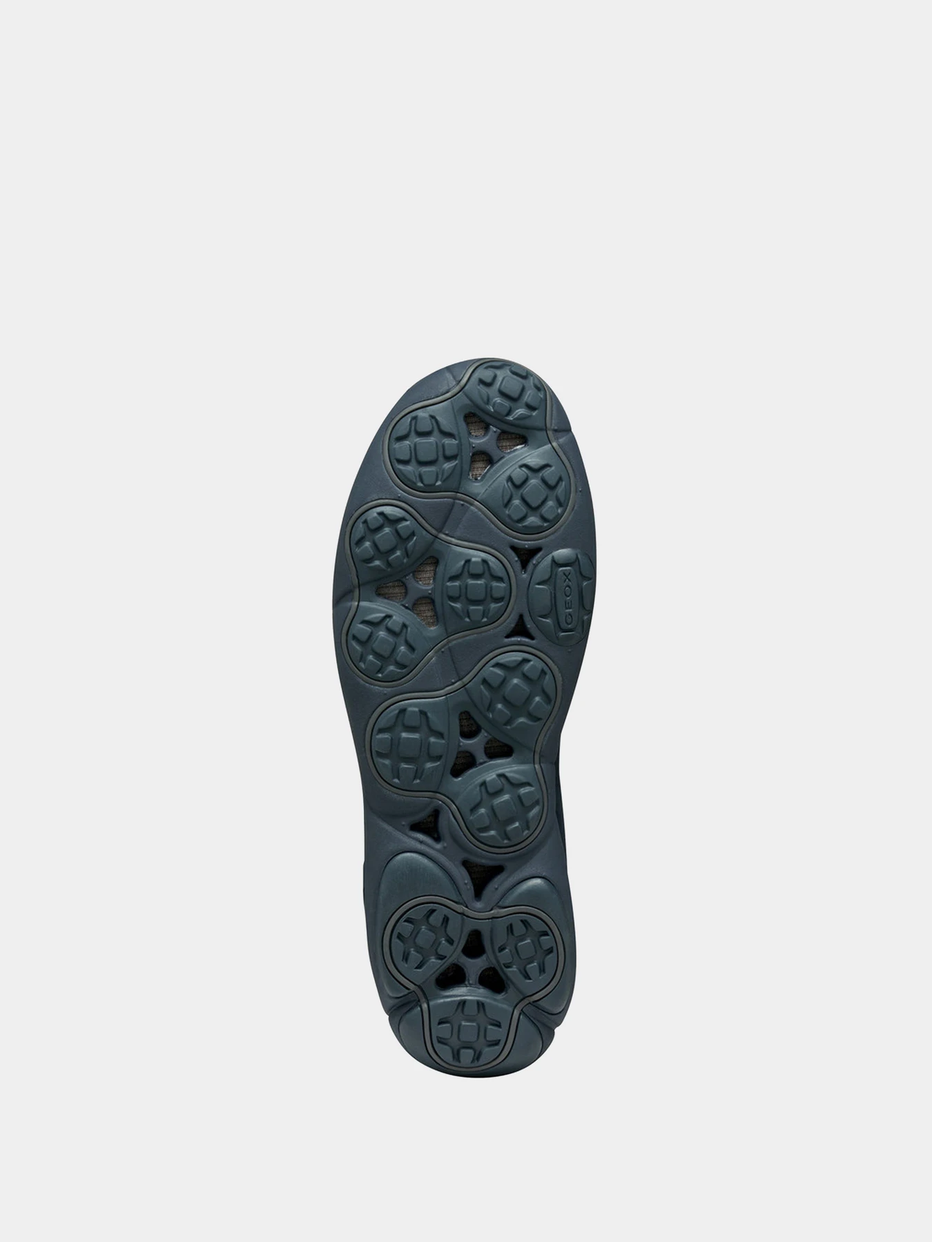 Кроссовки Geox модель U56MXB-00022-C4002 Кроссовки Geox модель U56MXB-00022-C4002 Фото