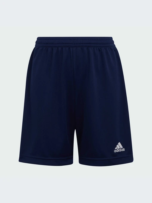 Шорты Adidas модель H57565-KZ Фото