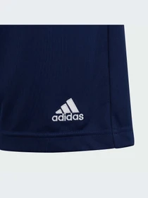 Шорты Adidas модель H57565-KZ Фото