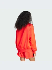 Худи и свитшоты Adidas Adicolor модель JW3663-KZ Фото