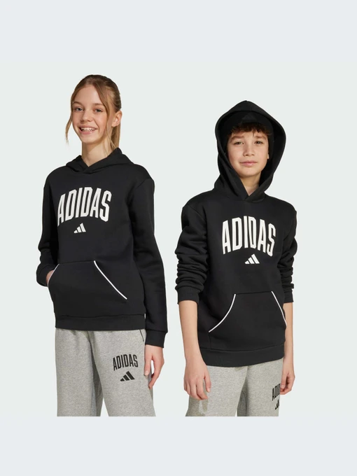 Худи и свитшоты Adidas модель JM1536-KZ Фото