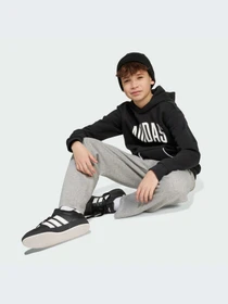 Худи и свитшоты Adidas модель JM1536-KZ Фото