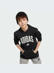 Худи и свитшоты Adidas модель JM1536-KZ Фото