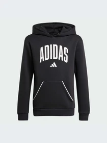 Худи и свитшоты Adidas модель JM1536-KZ Фото
