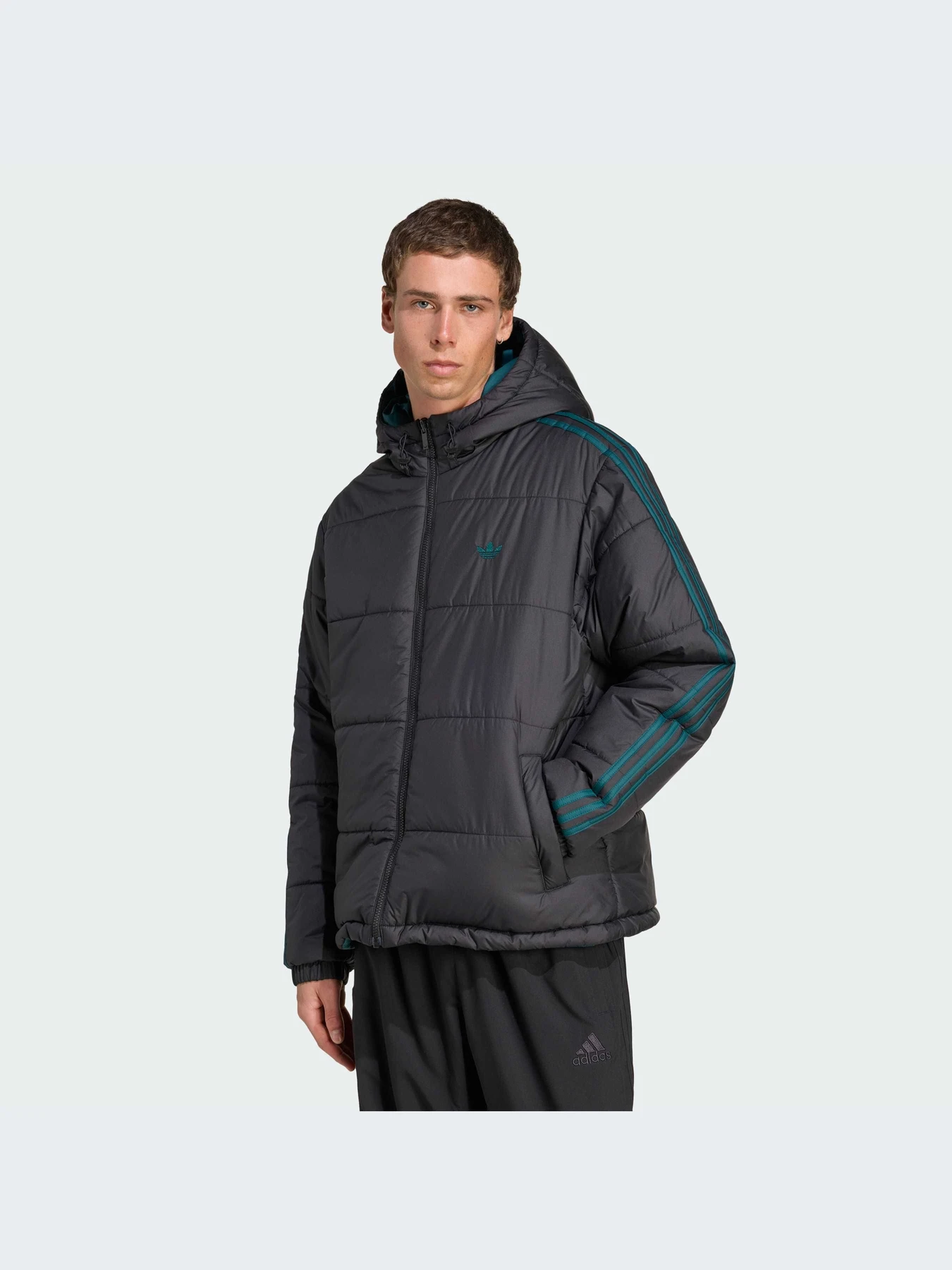 Куртки и дубленки Adidas Adicolor модель JX6447-KZ Куртки и дубленки Adidas Adicolor модель JX6447-KZ Фото