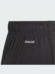 Шорты Adidas модель IN0648-KZ Фото