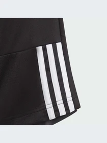 Шорты Adidas модель IN0648-KZ Фото