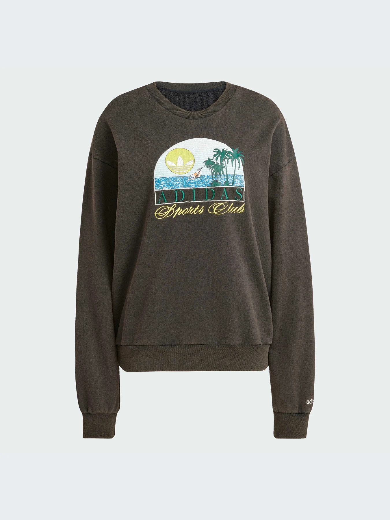 Худи и свитшоты Adidas Graphics модель JN6685-KZ Худи и свитшоты Adidas Graphics модель JN6685-KZ Фото