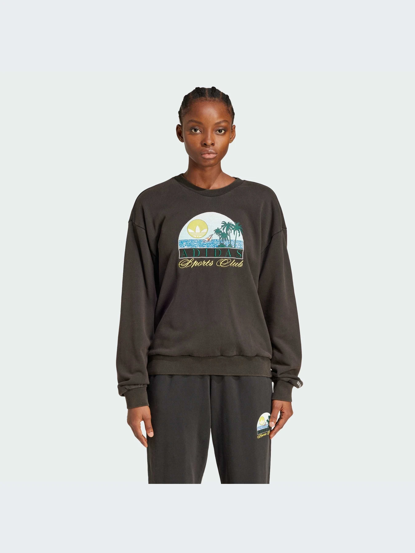 Худи и свитшоты Adidas Graphics модель JN6685-KZ Худи и свитшоты Adidas Graphics модель JN6685-KZ Фото