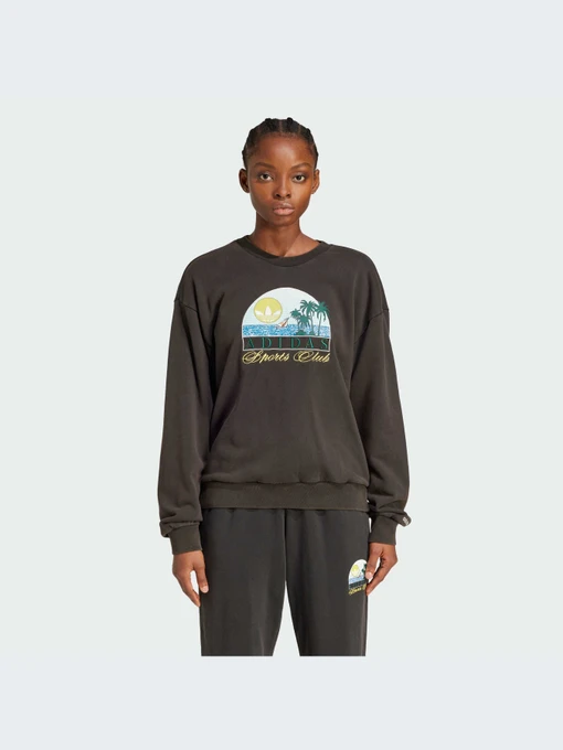 Худи и свитшоты Adidas Graphics модель JN6685-KZ Фото
