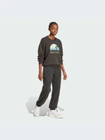 Худи и свитшоты Adidas Graphics модель JN6685-KZ Фото