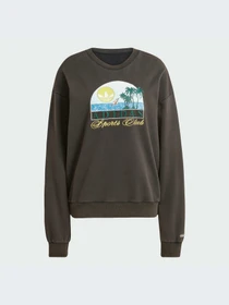 Худи и свитшоты Adidas Graphics модель JN6685-KZ Фото