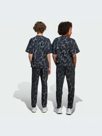 Брюки Adidas модель JC7544-KZ Фото