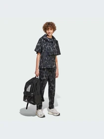 Брюки Adidas модель JC7544-KZ Фото