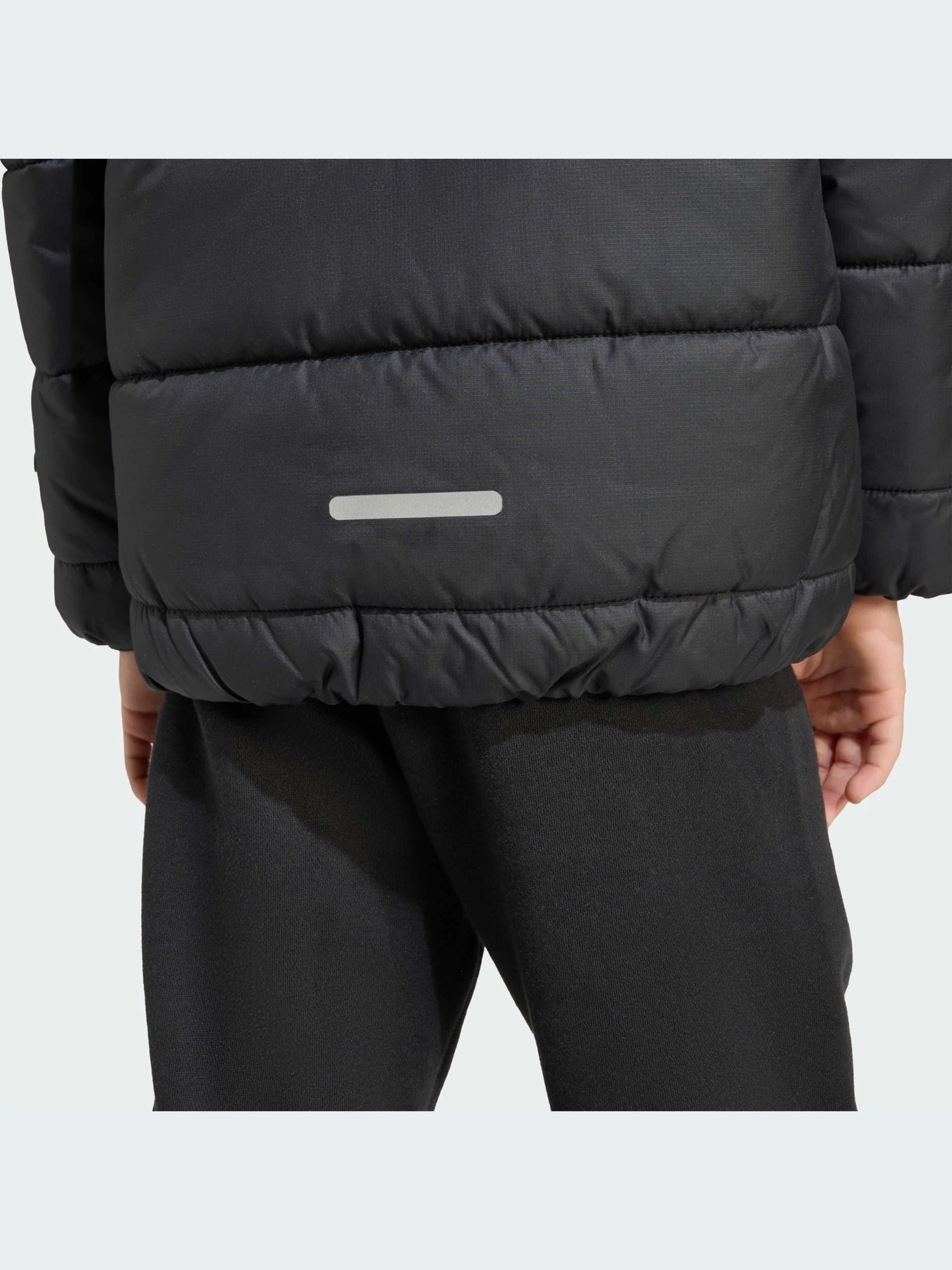 Куртки и дубленки Adidas модель JW2443-KZ Куртки и дубленки Adidas модель JW2443-KZ Фото