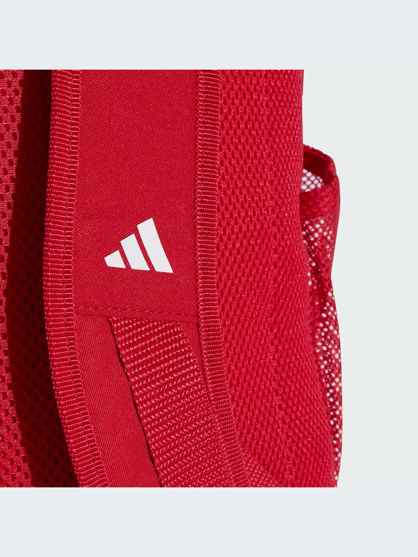 Рюкзаки Adidas модель JZ5881-KZ Рюкзаки Adidas модель JZ5881-KZ Фото