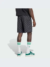 Шорты Adidas Graphics модель JY2986-KZ Фото