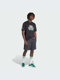 Шорты Adidas Graphics модель JY2986-KZ Фото