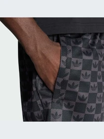 Шорты Adidas Graphics модель JY2986-KZ Фото
