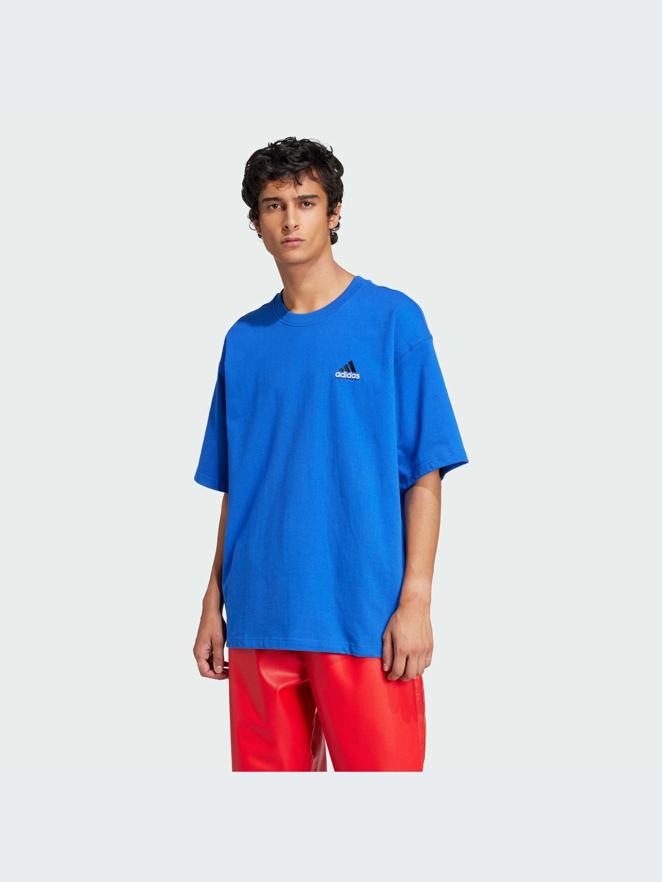 Футболки и поло Adidas Graphics модель JN4847-KZ Футболки и поло Adidas Graphics модель JN4847-KZ Фото