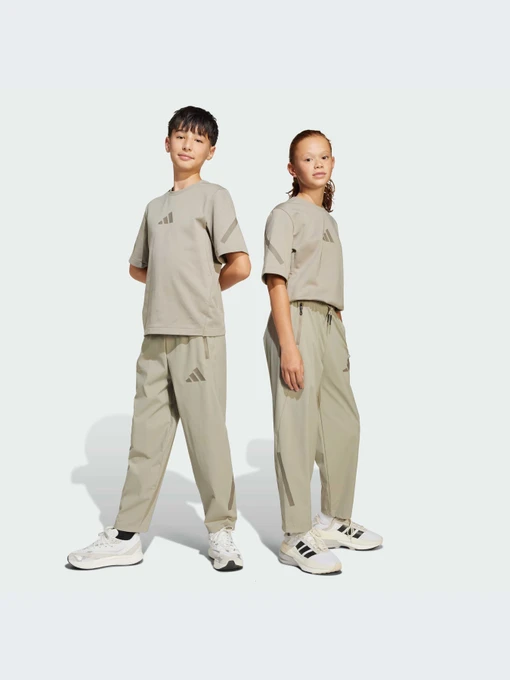 Брюки Adidas ZNE модель JN8953-KZ Фото