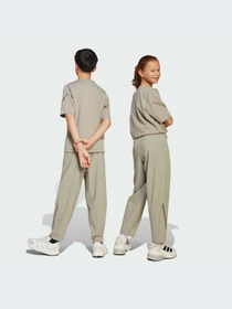 Брюки Adidas ZNE модель JN8953-KZ Фото