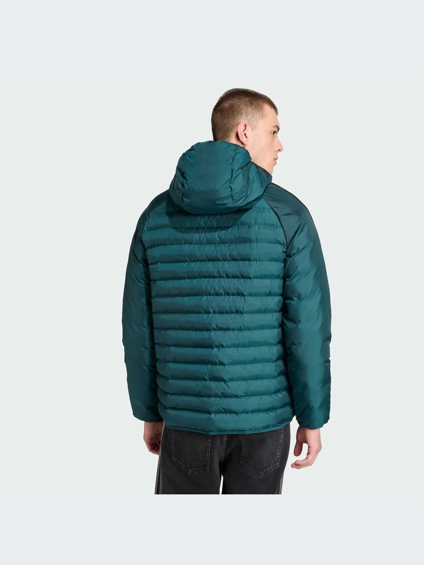 Куртки и дубленки Adidas модель JX4116-KZ Куртки и дубленки Adidas модель JX4116-KZ Фото