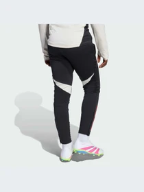 Брюки Adidas модель JV6564-KZ Фото