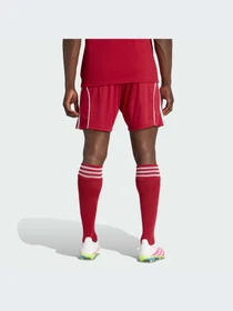 Шорты Adidas модель JV6425-KZ Фото