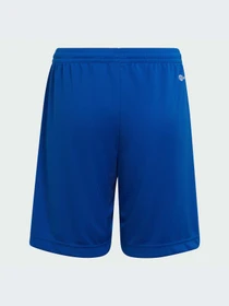 Шорты Adidas модель HG6291-KZ Фото