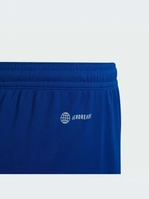 Шорты Adidas модель HG6291-KZ Фото
