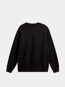 Худи и свитшоты Vans модель VN000RATBLK1 Фото
