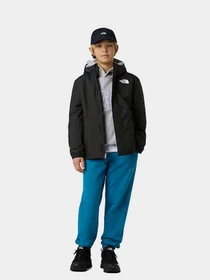 Куртки и дубленки The North Face модель NF0A873SKX71 Фото