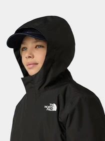 Куртки и дубленки The North Face модель NF0A873SKX71 Фото