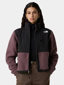 Худи и свитшоты The North Face модель NF0A88YRCAI1 Фото