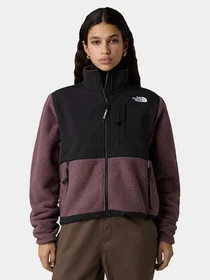Худи и свитшоты The North Face модель NF0A88YRCAI1 Фото