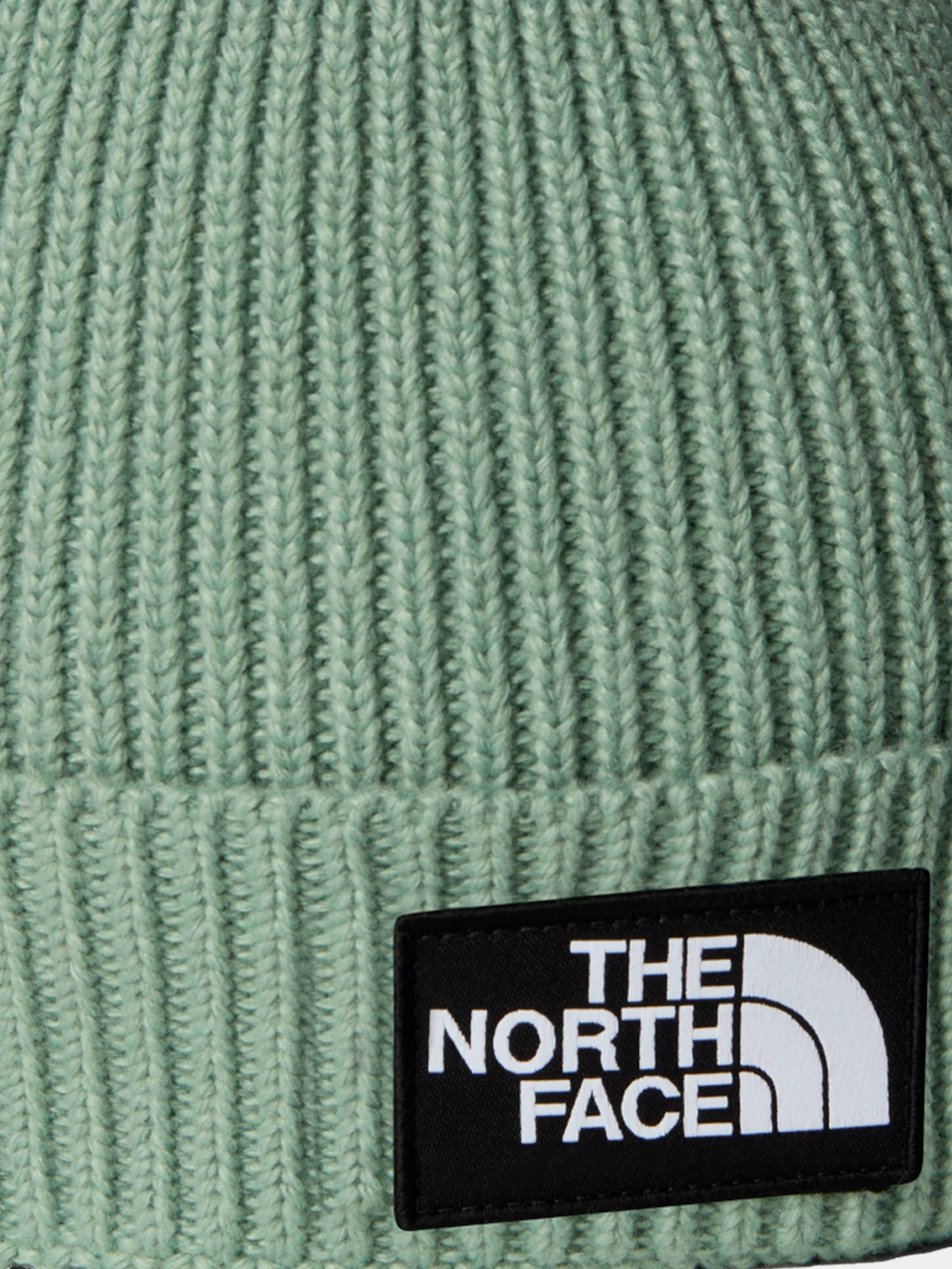 Шапки и кепки The North Face модель NF0A8CGUBQ11 Шапки и кепки The North Face модель NF0A8CGUBQ11 Фото