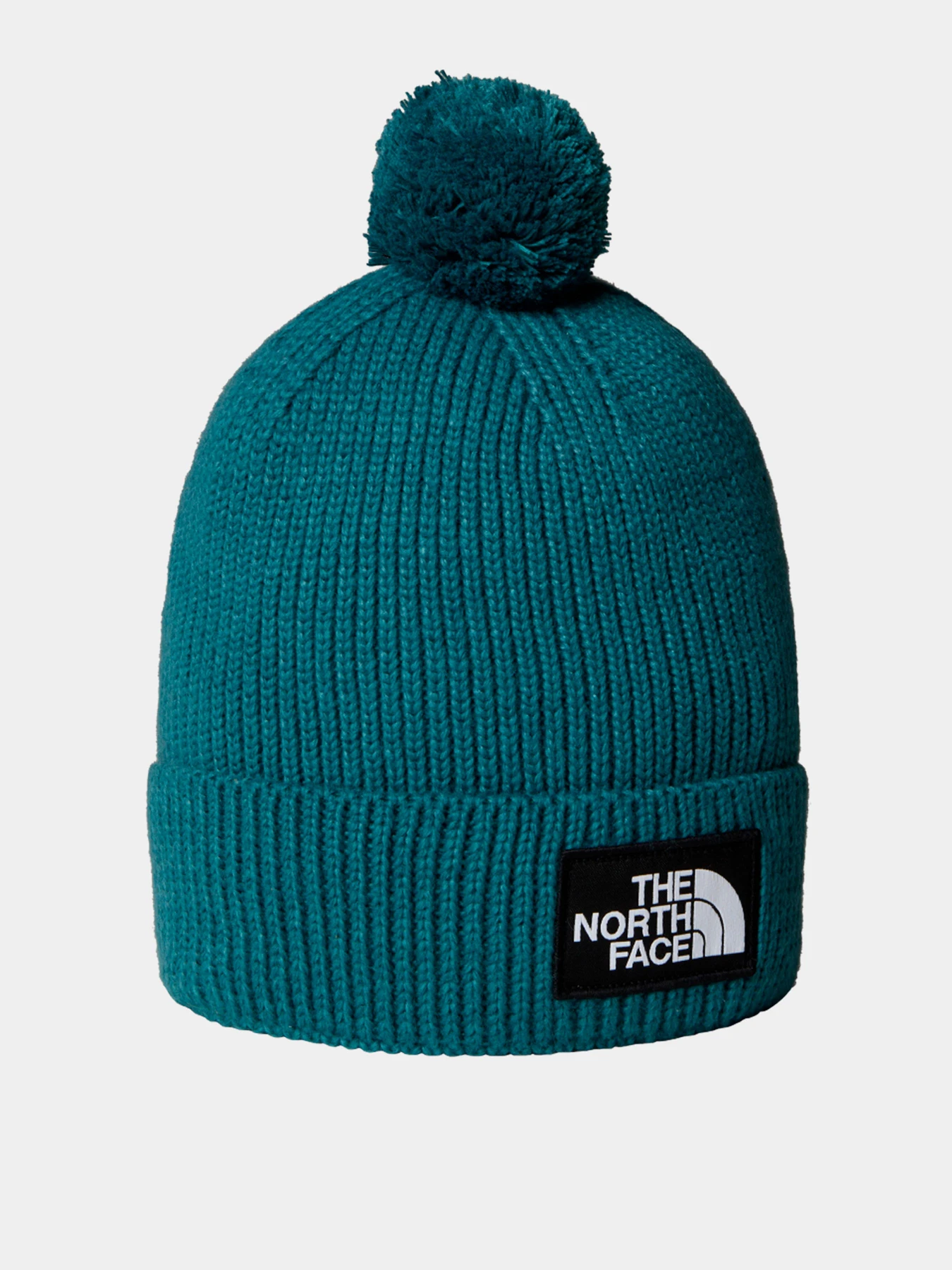 Шапки и кепки The North Face модель NF0A8CHFBQ51 Шапки и кепки The North Face модель NF0A8CHFBQ51 Фото