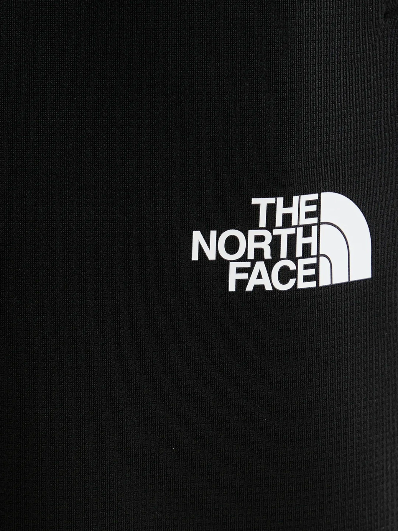Брюки The North Face модель NF0A8DRSKS71 Фото