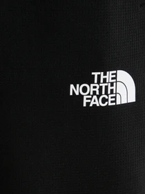 Брюки The North Face модель NF0A8DRSKS71 Фото