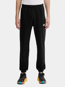 Брюки The North Face модель NF0A8DRSKS71 Фото