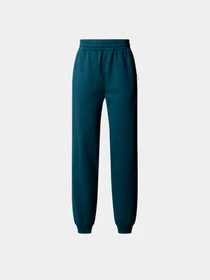 Брюки The North Face модель NF0A8DXYDOK1 Фото