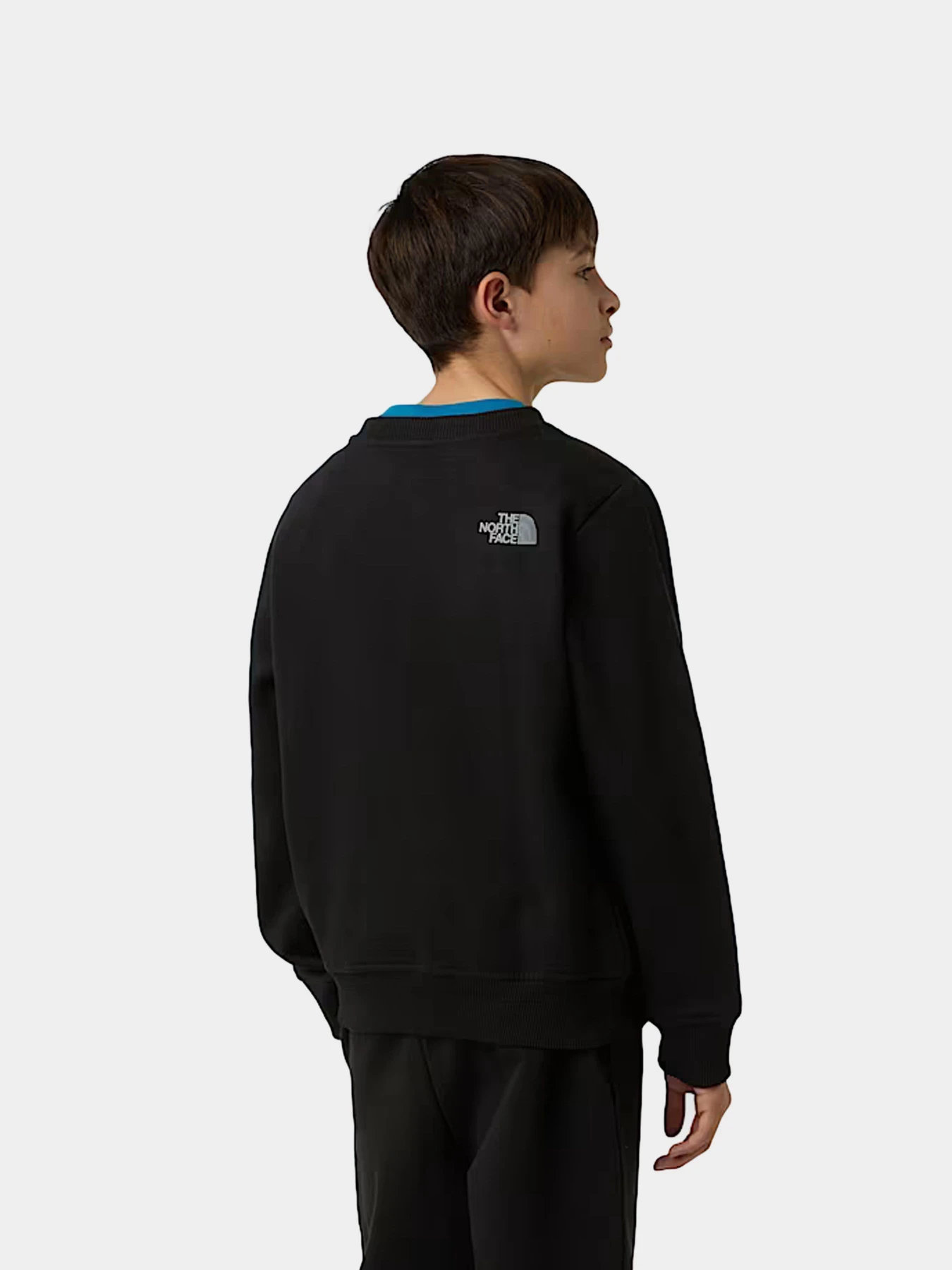 Худи и свитшоты The North Face модель NF0A8EATJK31 Худи и свитшоты The North Face модель NF0A8EATJK31 Фото